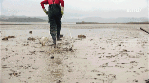 Lee Young Joon trying to find clams 